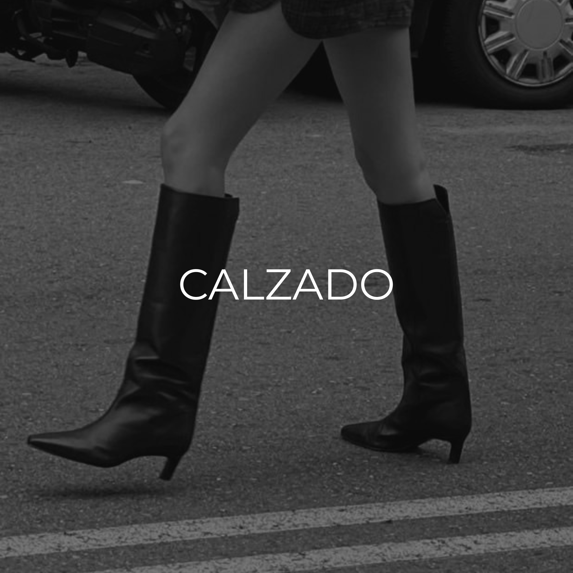 CALZADO