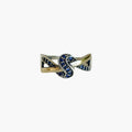 ANILLO DELMA