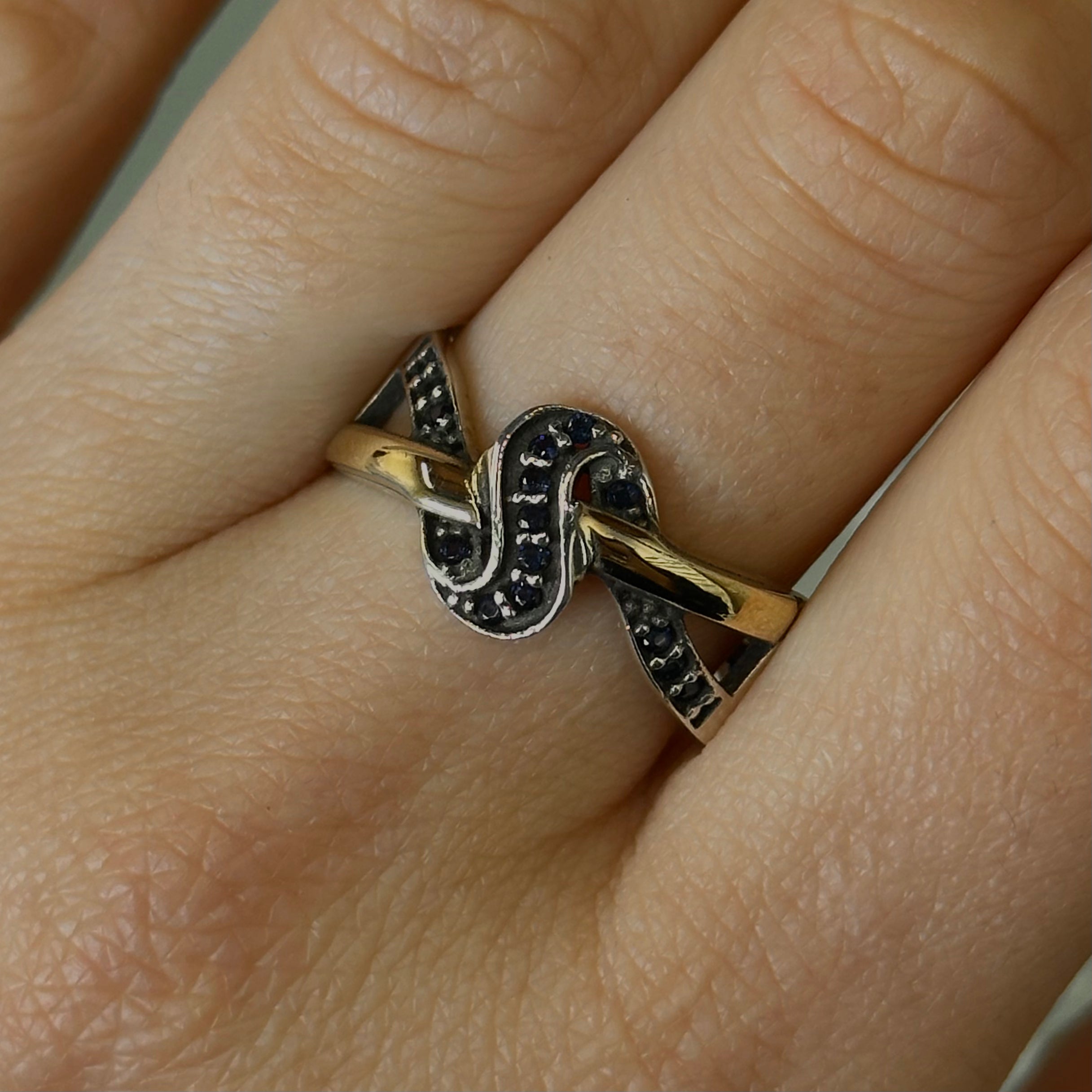 Anillo Delma